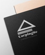 Carpingue Branding